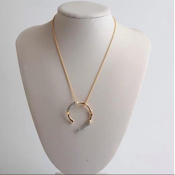Alexis Bittar Gold & Silver Crystal Horseshoe Bamboo Pendant Adjustable Necklace - Picture 7 of 9